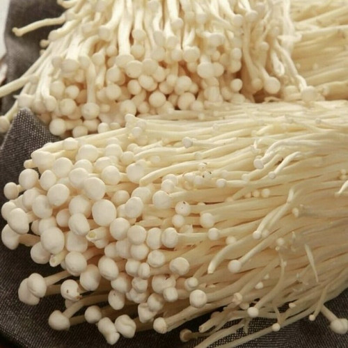 قارچ انوکی خشک شده