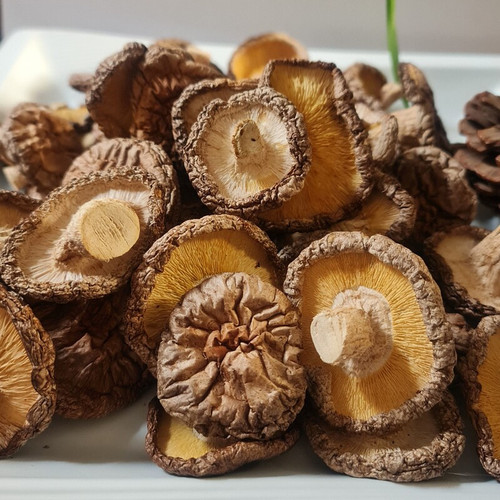 قارچ شیتاکه خشک برای hpv بسته نیم کیلویی